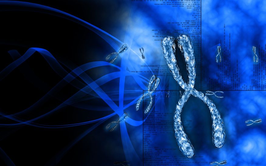 El análisis del cromosoma Y explica cómo se expandieron los hombres